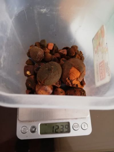 oglasi,  Buy Cow /Ox Gallstone Available On Stoc