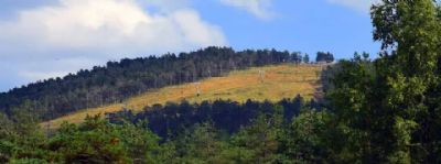 oglasi, Turisticka ponuda na Divcibarima